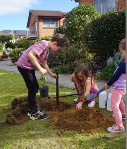 Jasper, Rosie and Jasmine helping out on National Tree Day
