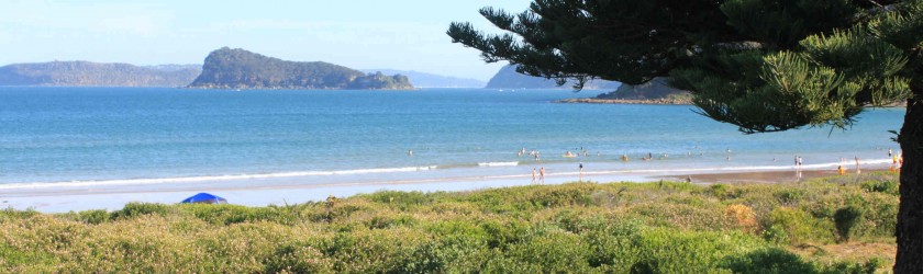 View of Lion Island from Umina Beach