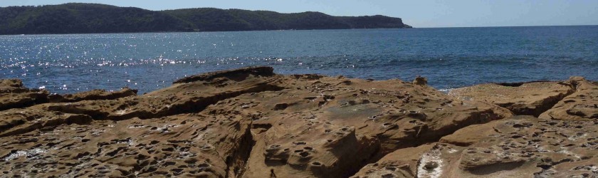 Rockpool at Umina Beach