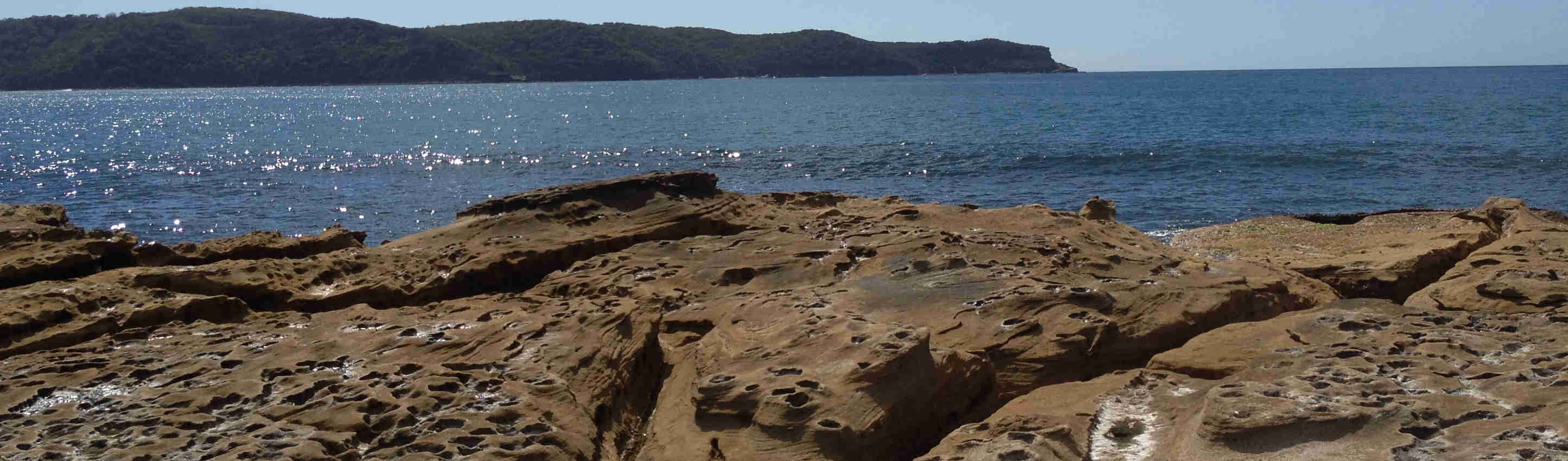 Rockpool at Umina Beach